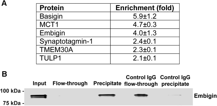 Fig. 7