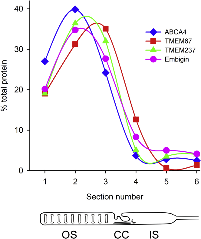 Fig. 4