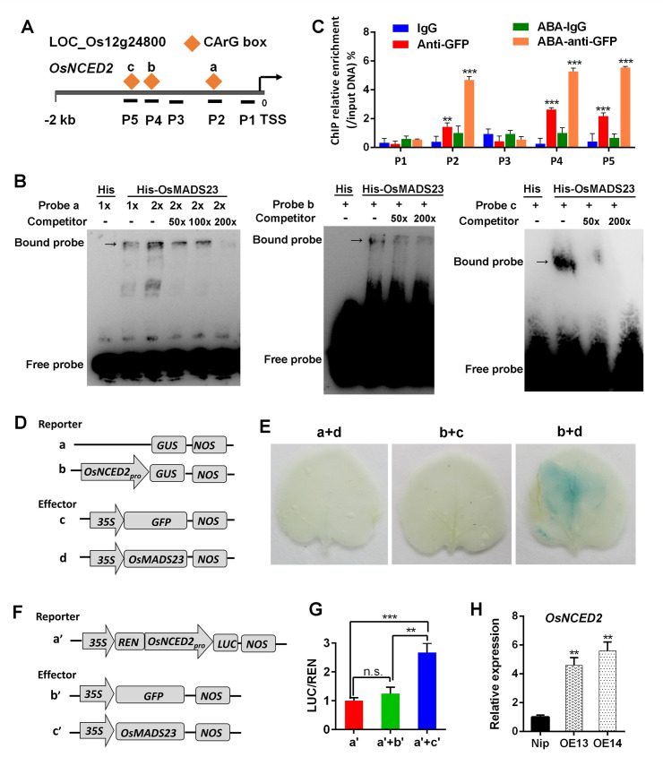 Fig 6