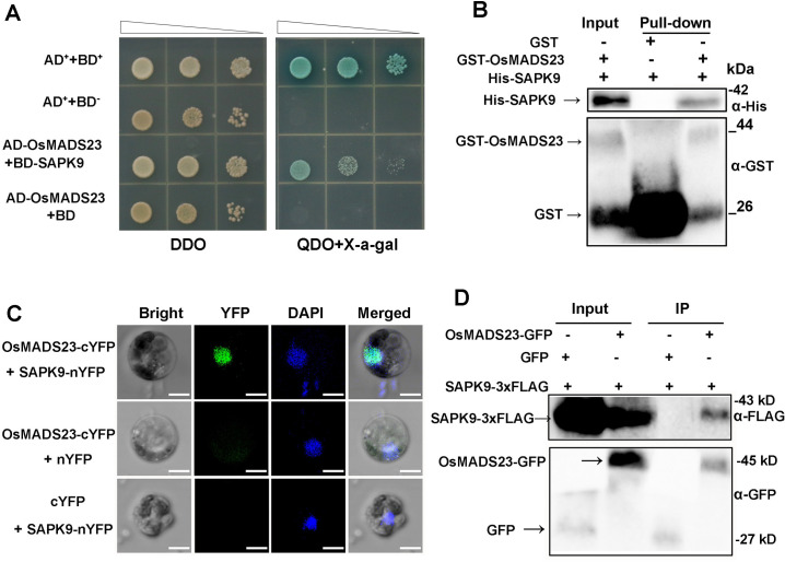 Fig 9