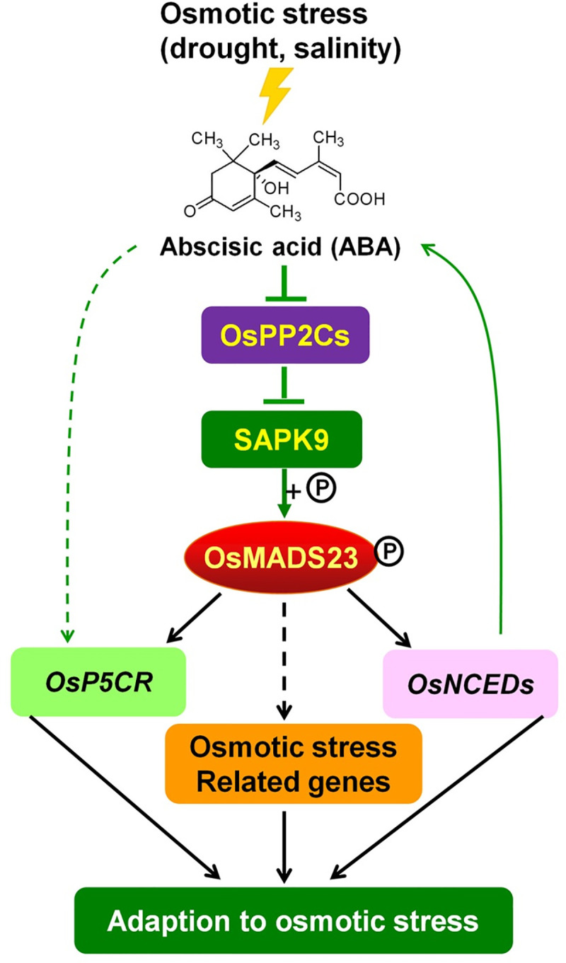 Fig 12