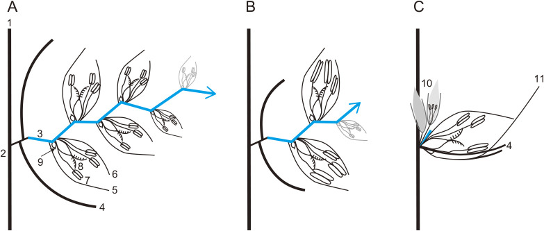 Fig. 2.