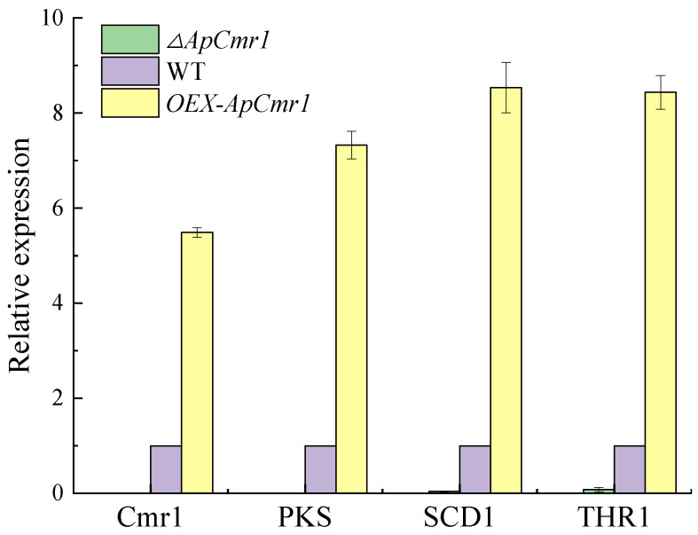 Figure 9