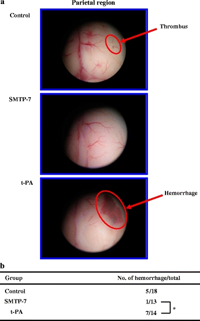 Fig. 4