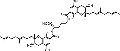 Fig. 1