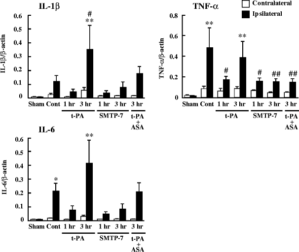 Fig. 7