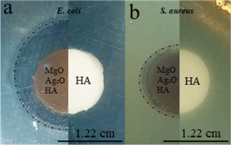 Fig. 8