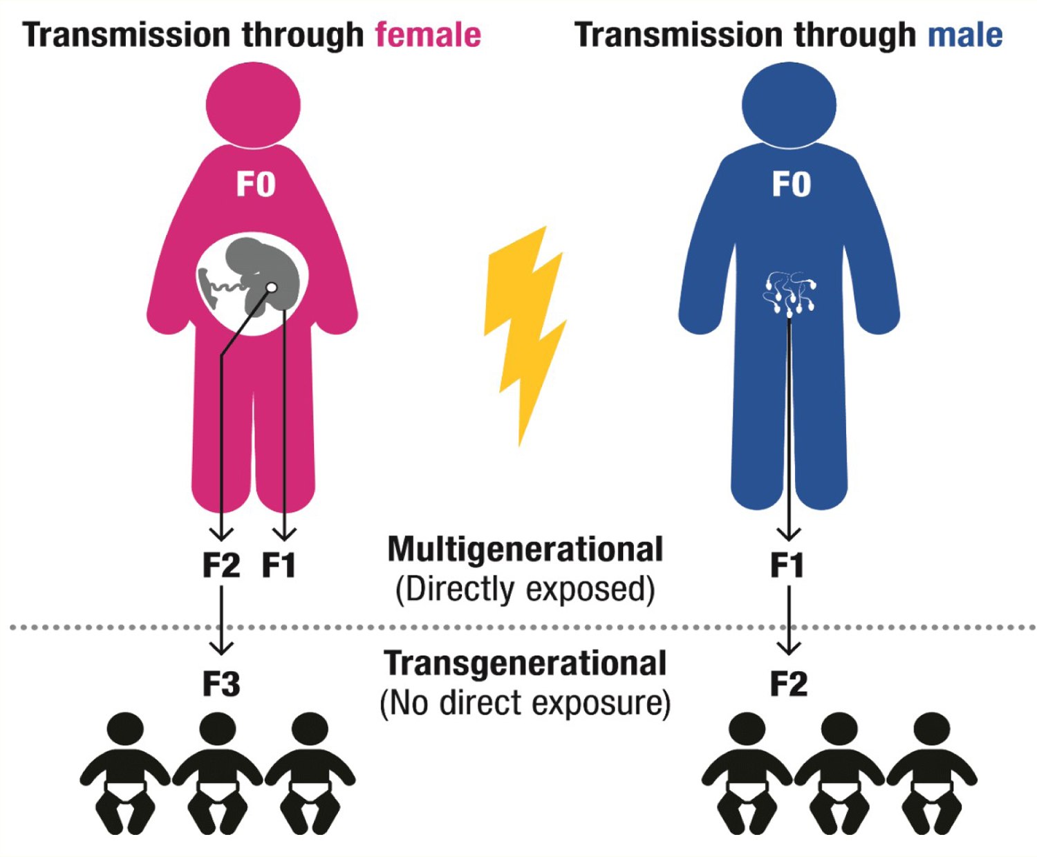 Figure 2: