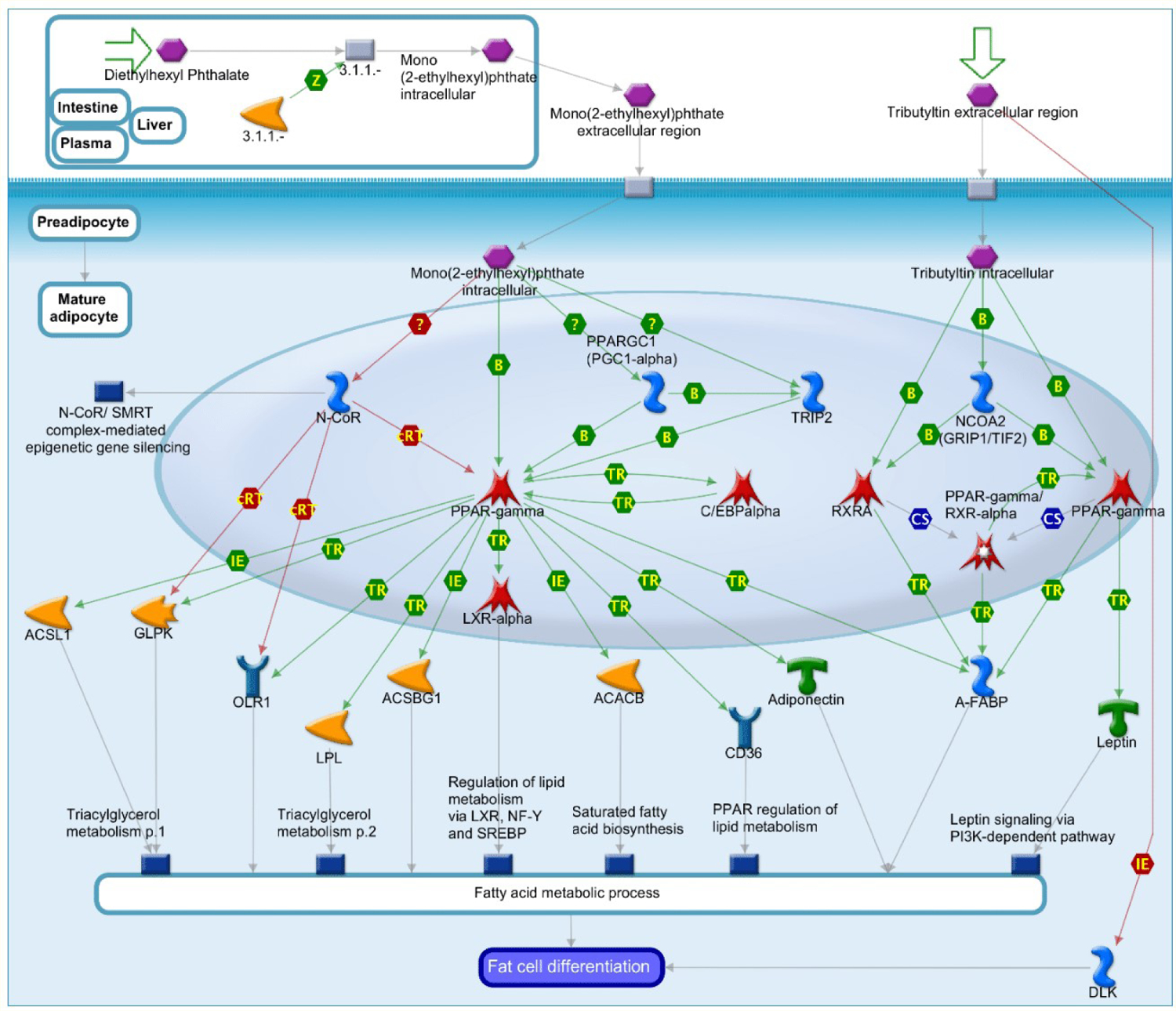 Figure 3: