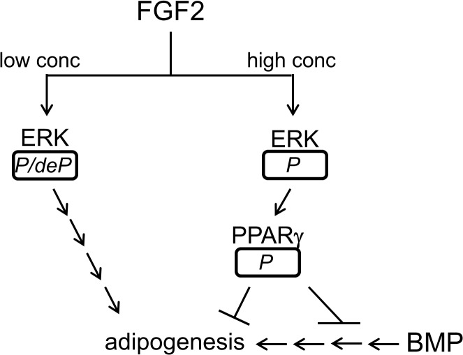 Fig 5