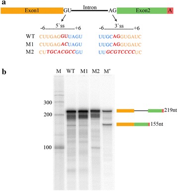 Fig. 4