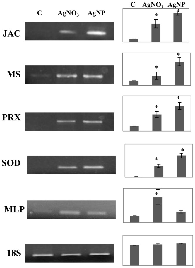 Figure 5