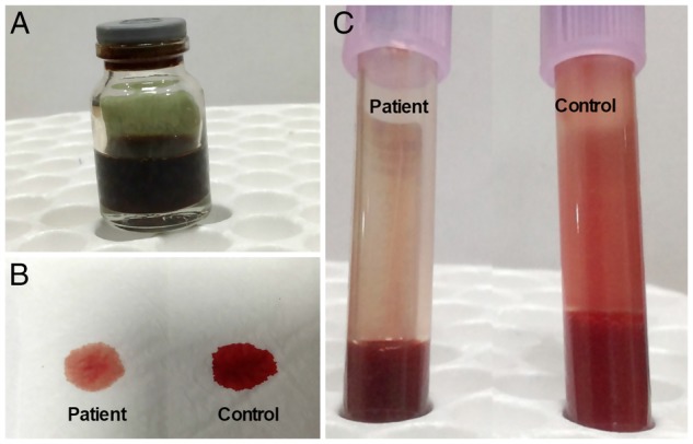 Figure 1