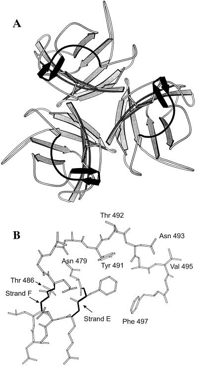 FIG. 1