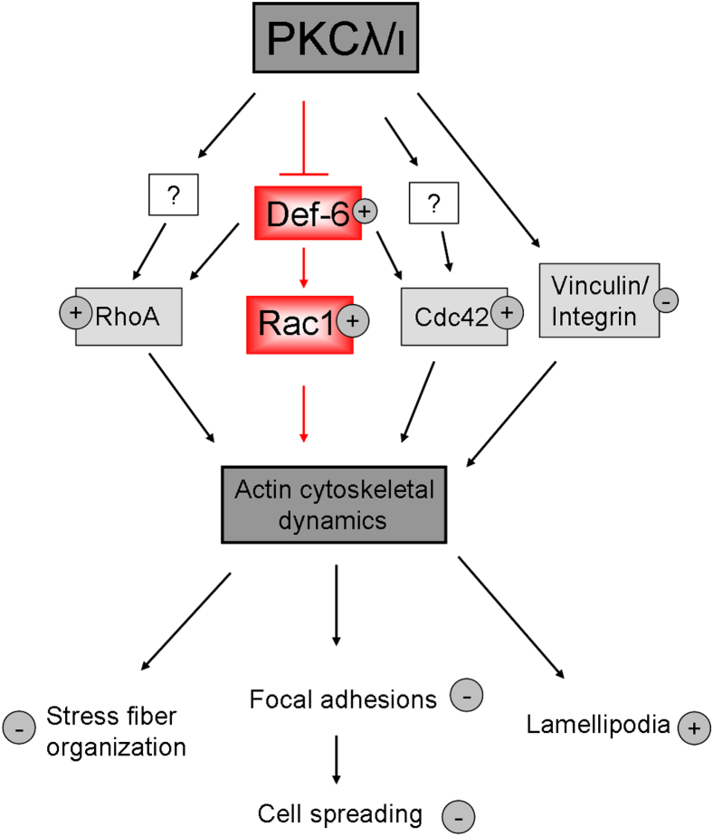 Figure 7