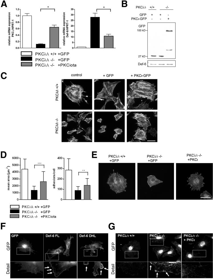 Figure 6