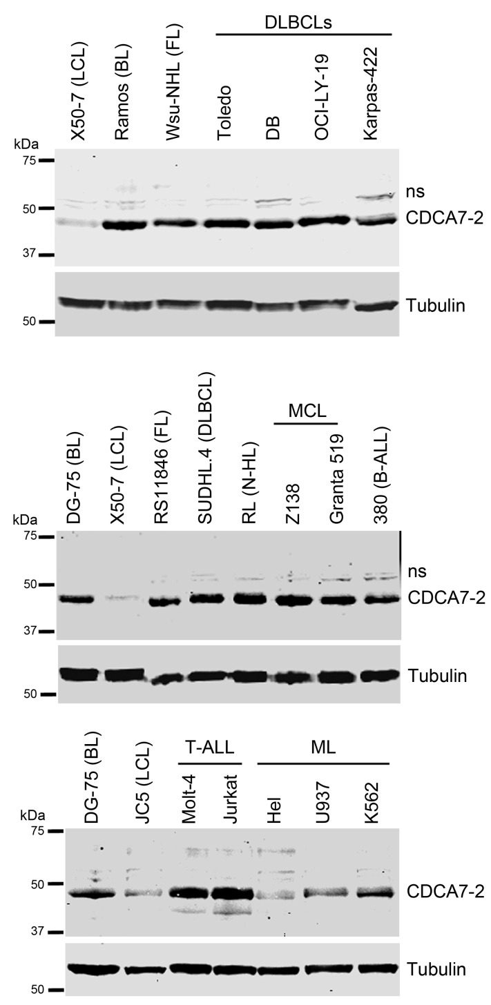 Figure 7.