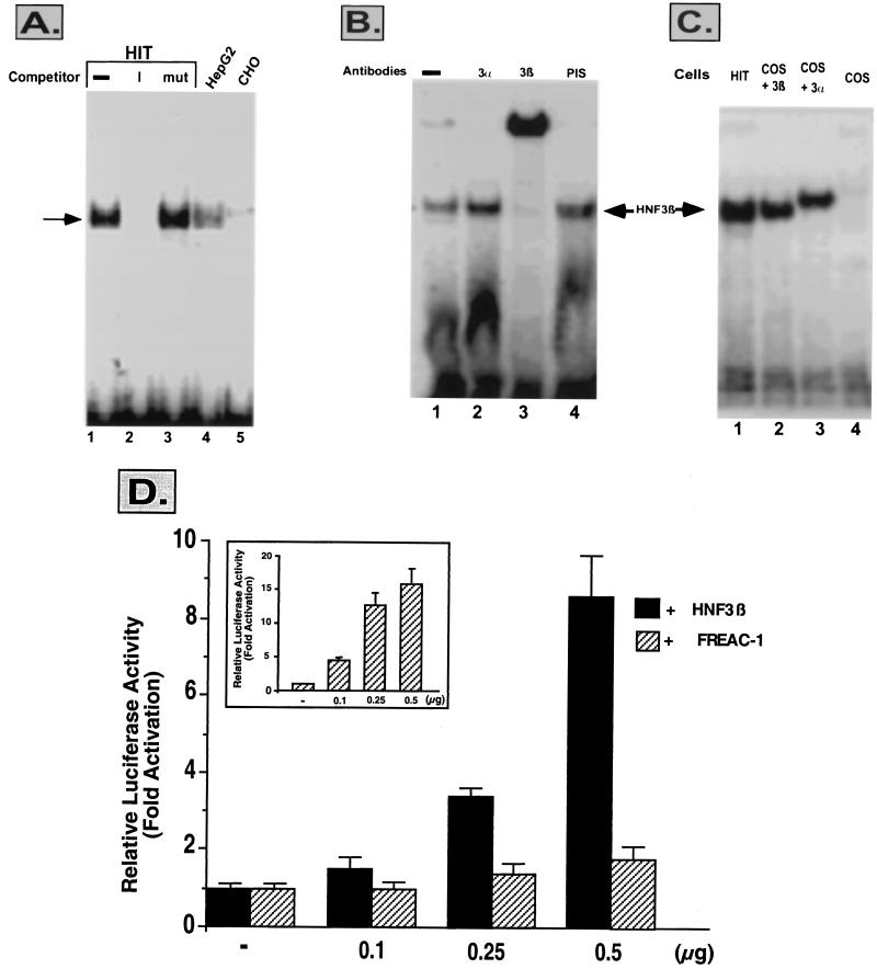 FIG. 5