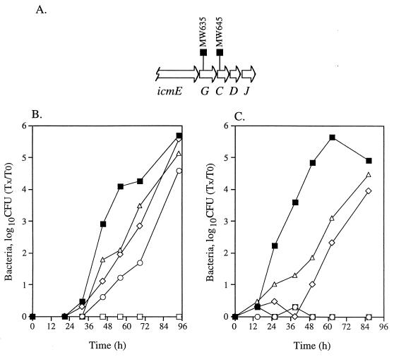 FIG. 4