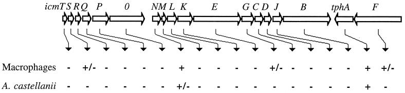 FIG. 6