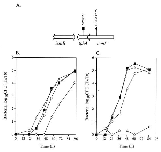 FIG. 5