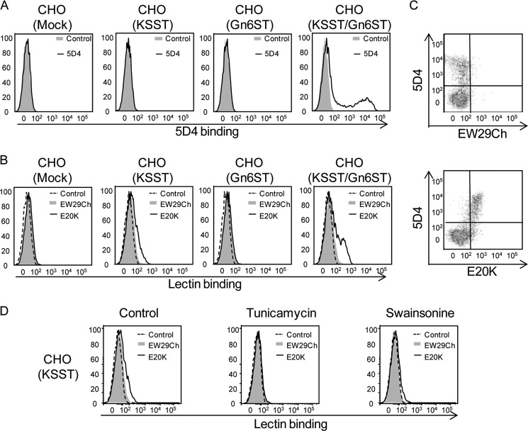 FIGURE 4.