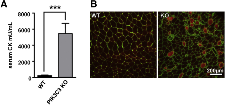 Figure 5