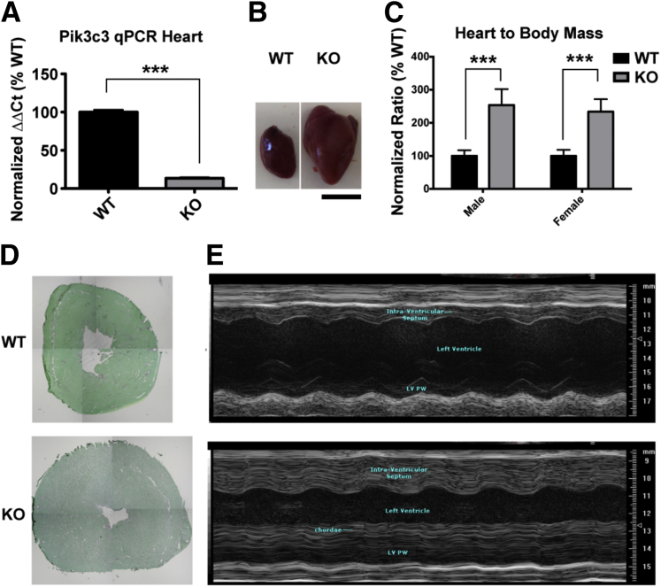 Figure 3