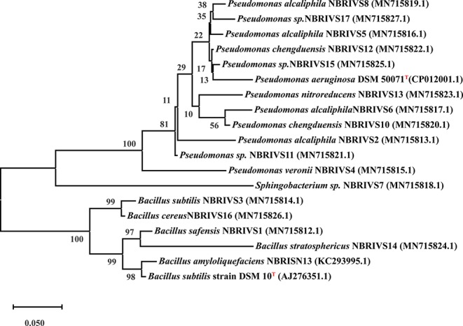 Figure 6