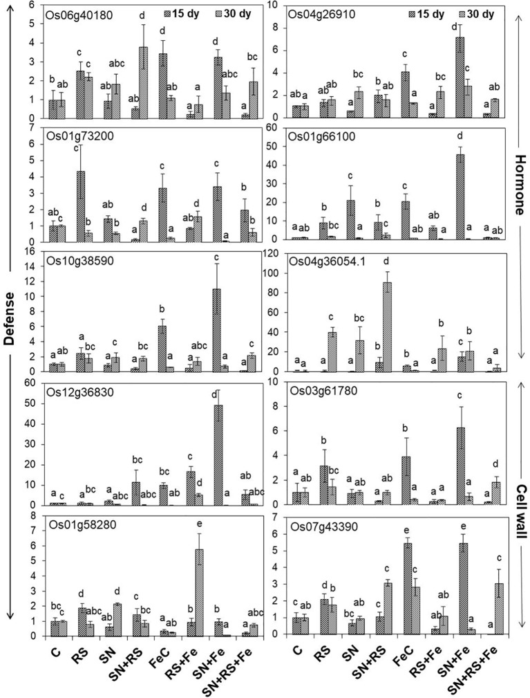 Figure 10