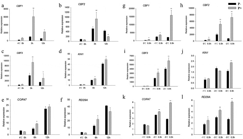 Figure 6.