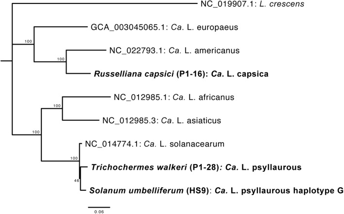 FIGURE 5