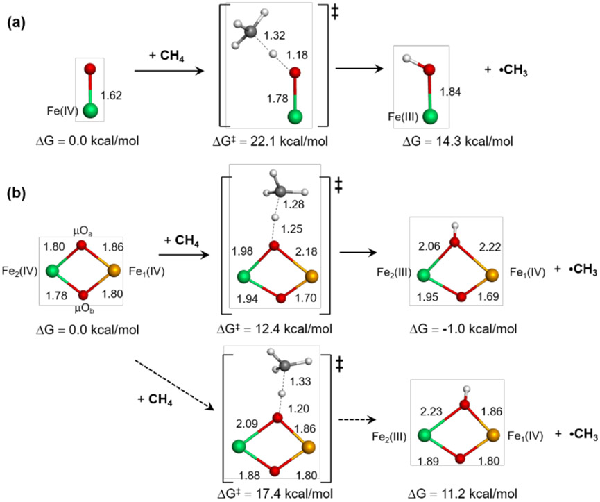 Figure 13.