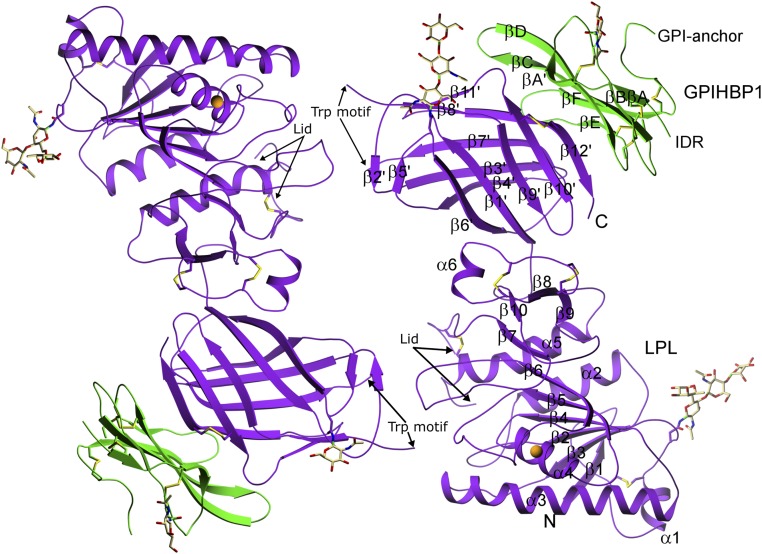 Fig. 2.