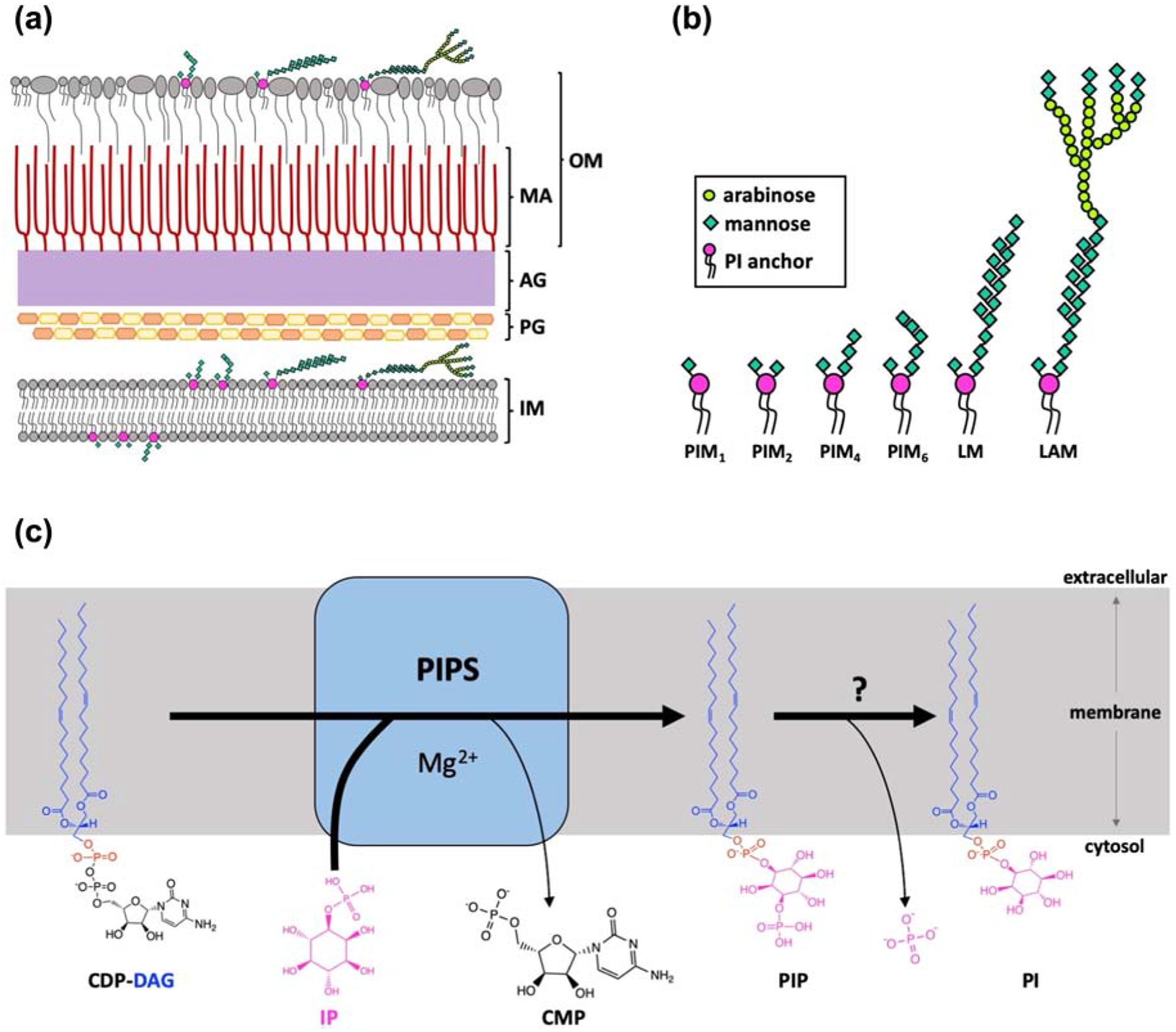 Figure 1 |