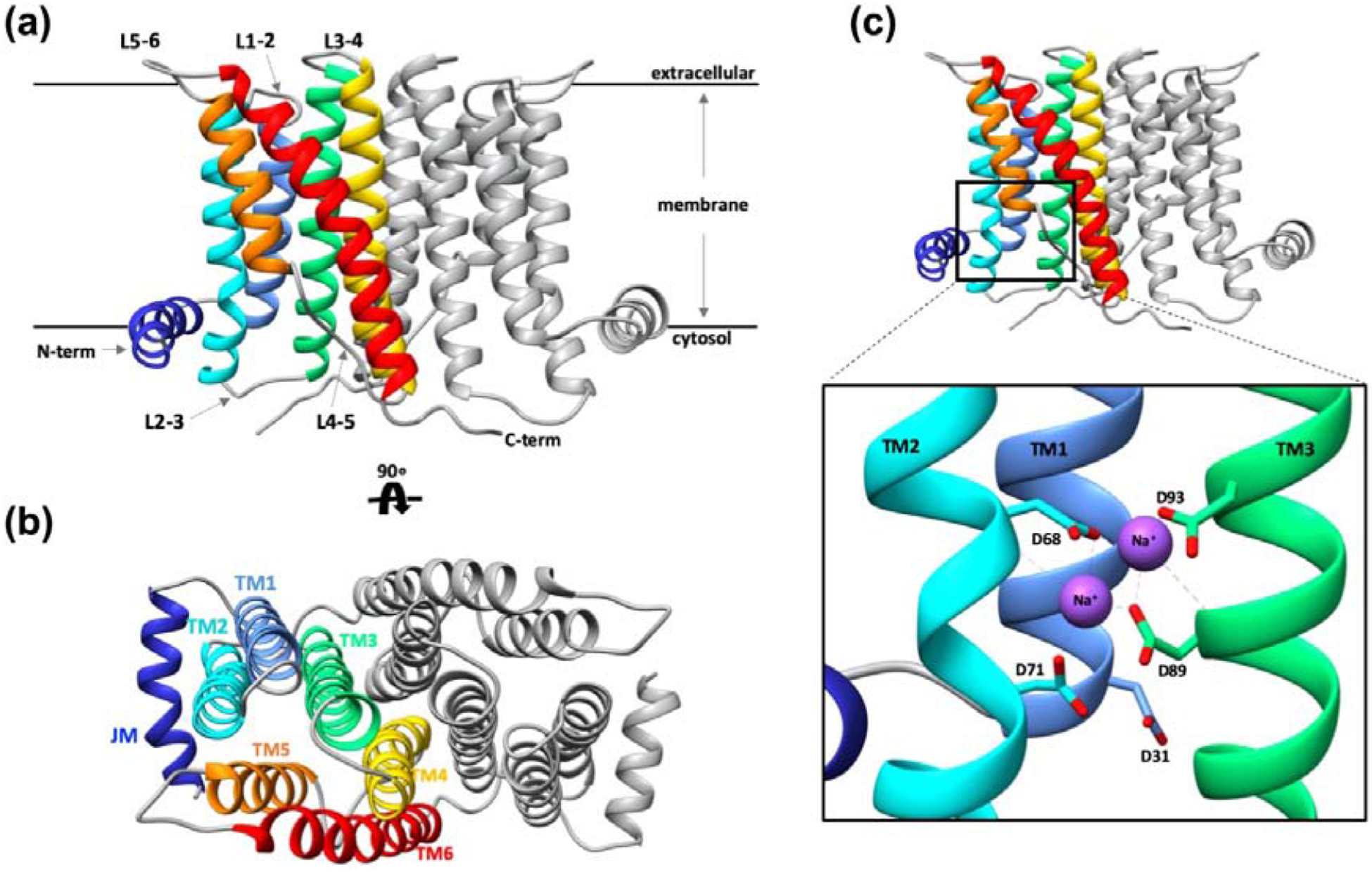 Figure 2 |