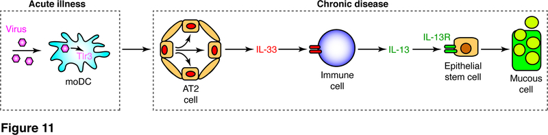 FIGURE 11.