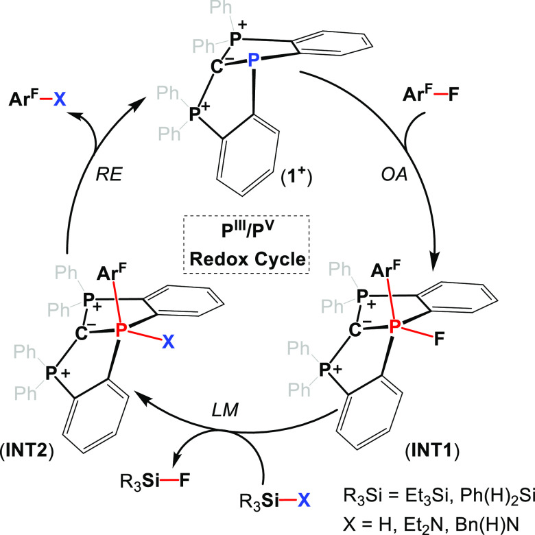 Scheme 5