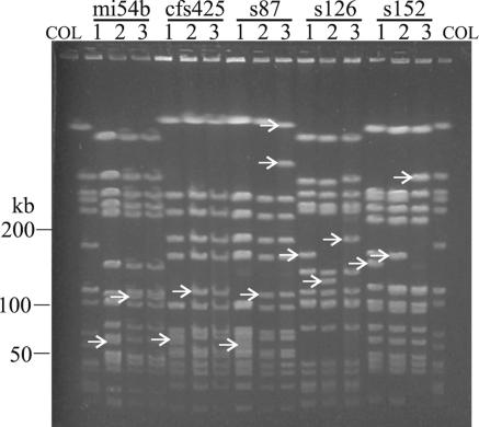 FIG. 3.