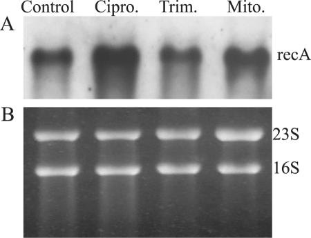 FIG. 5.