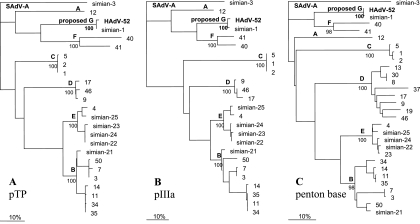 FIG. 4.