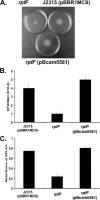 FIG. 2.