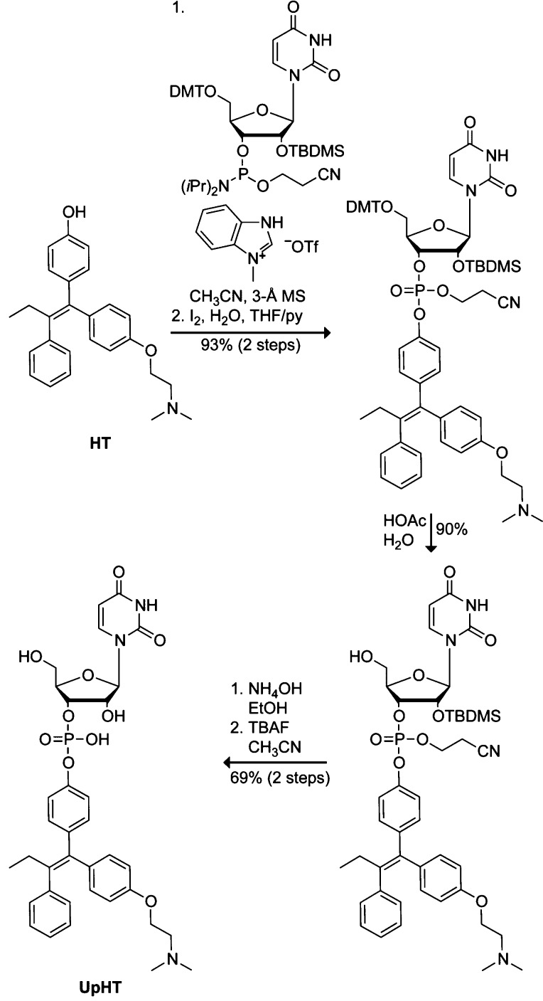 Scheme 1