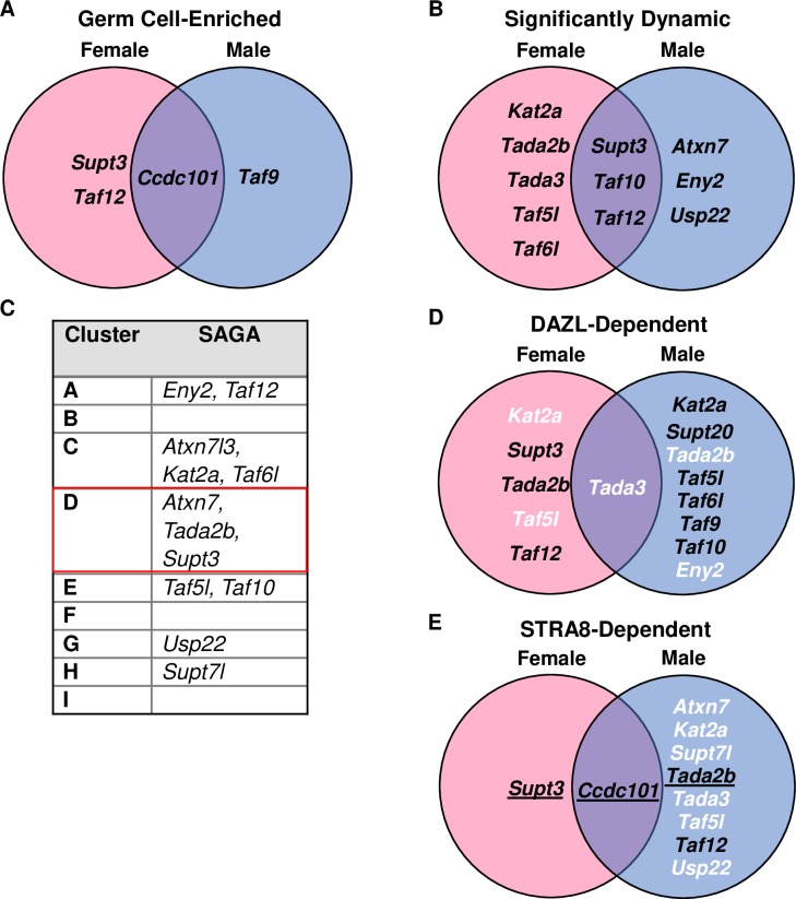 Fig 10