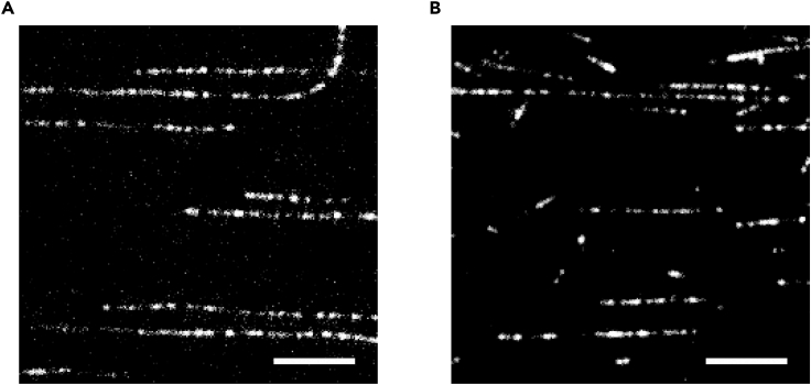 Figure 7