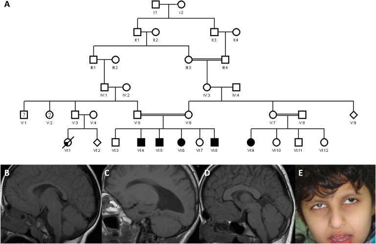 Figure 1