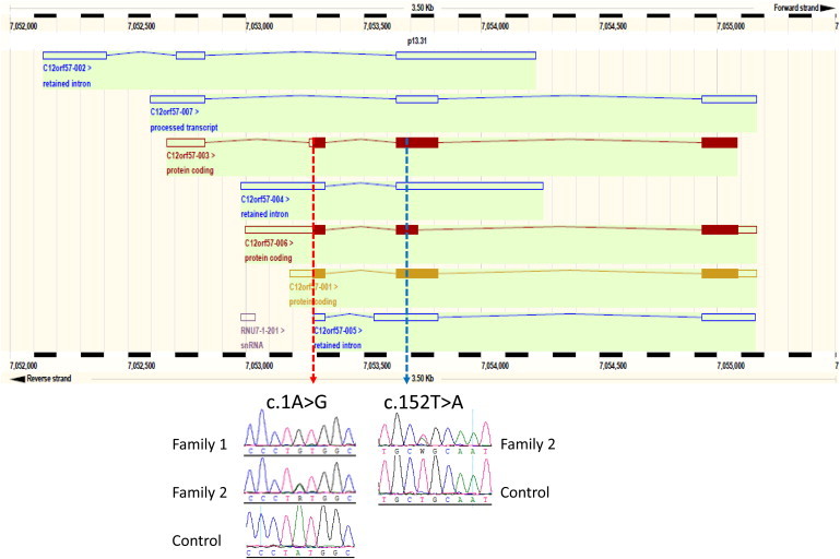 Figure 2