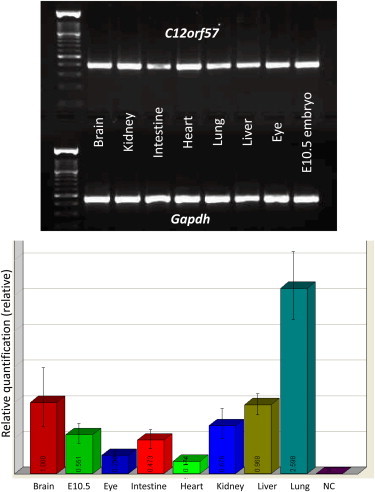 Figure 3