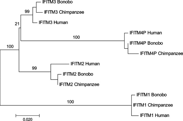 FIG 2