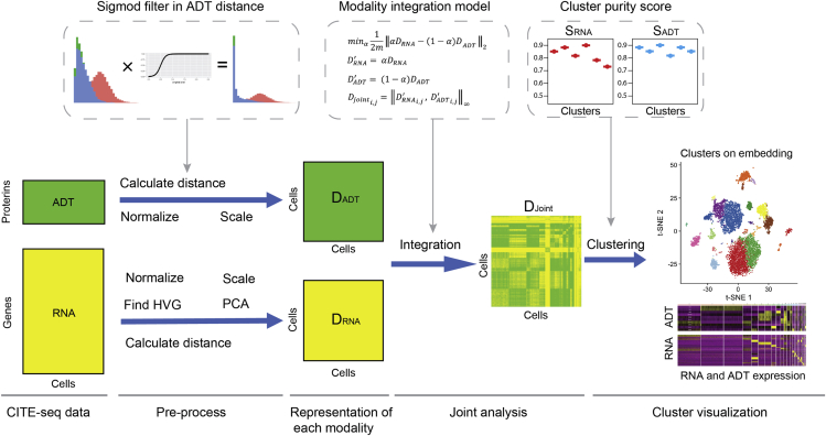 Figure 1